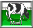 MAIL Button for The Cattle on a Thousand Hills
