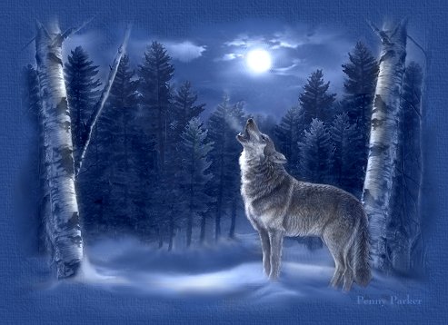 Wolf header graphic for In the Still of the Night - Beethoven's Moonlight Sonata