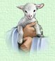 Lamb graphic for Steps to Christ