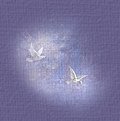 Doves graphic for The Old-Fashoned Meeting